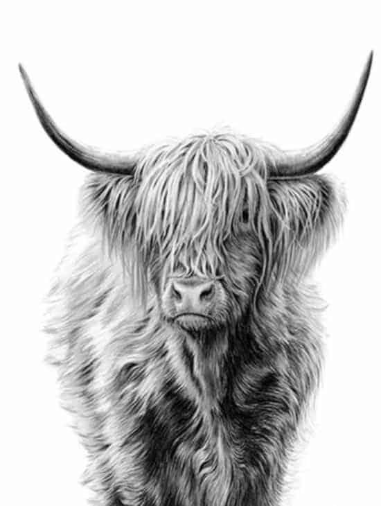 Diamantmalerei Bizon – SEOS Shop ®