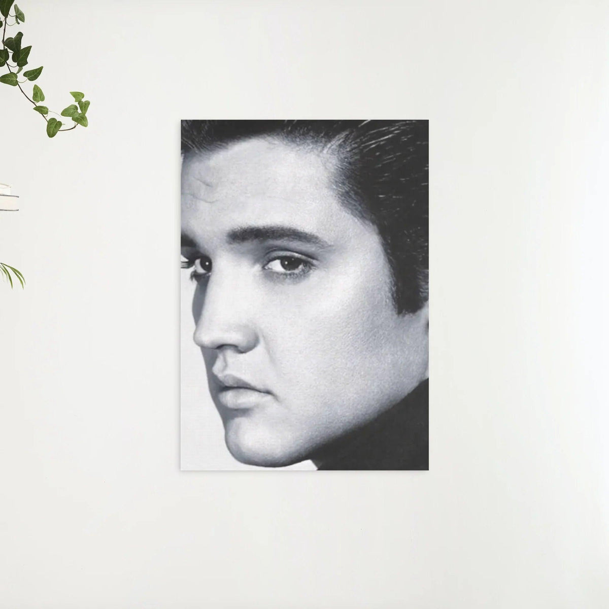 Diamond Painting Elvis Presley in Schwarzweiß - SEOS Shop ®