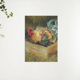 Diamantmalerei Hahn in Box - SEOS Shop ®