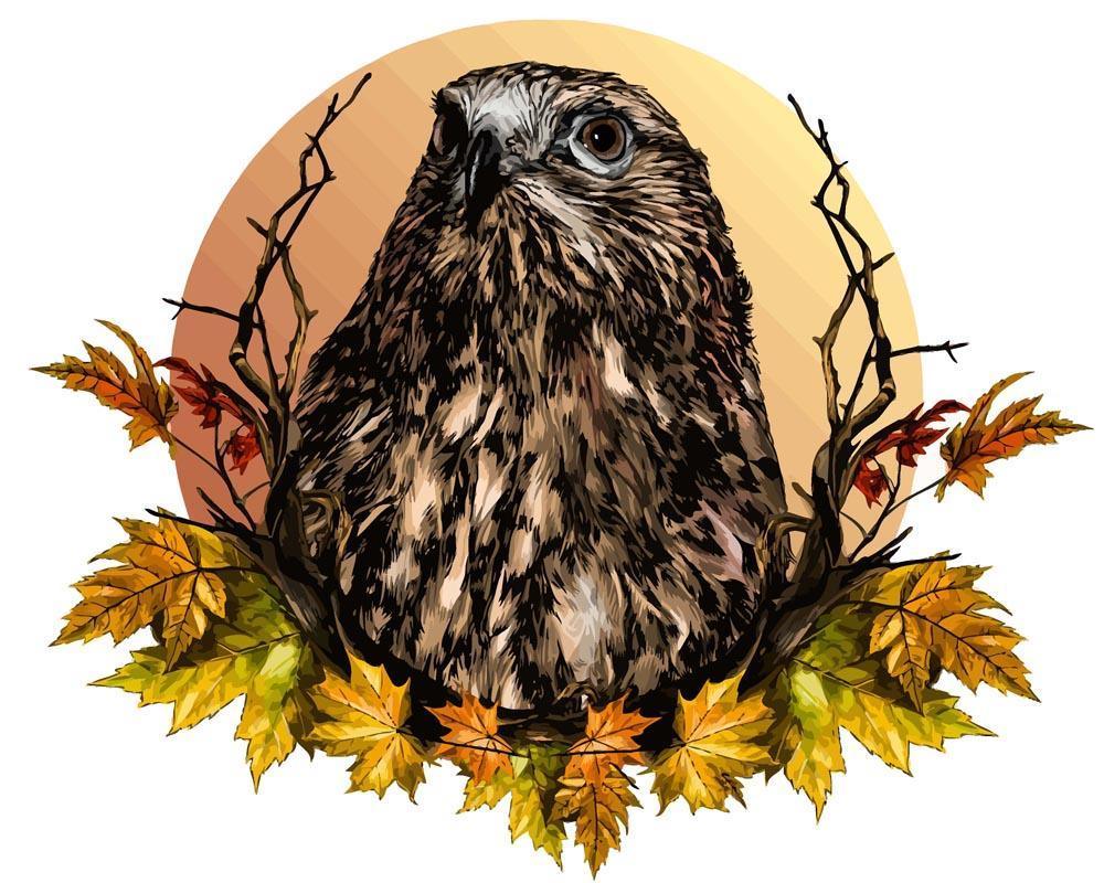 Diamantmalerei - Falkenkopf - SEOS®