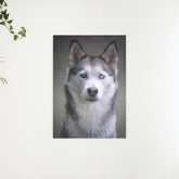 Diamond Painting Husky mit Hundeaugen - SEOS Shop ®