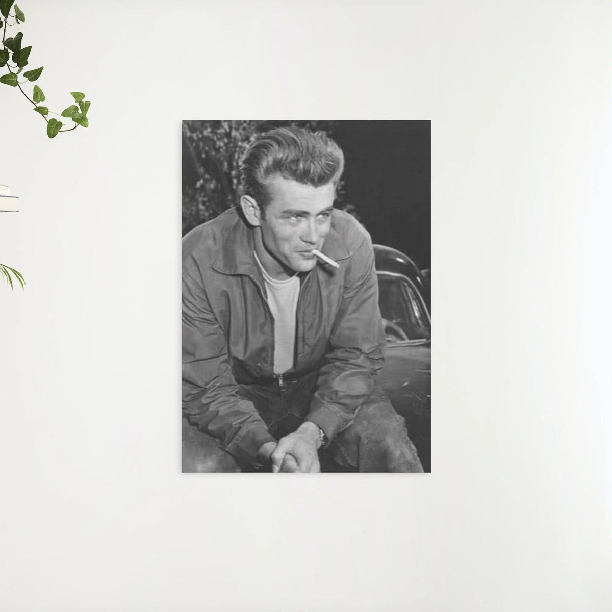 Diamantmalerei James Dean Schwarz und Weiß - SEOS Shop ®