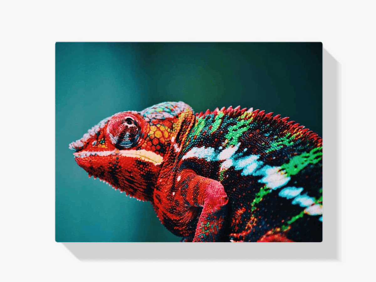 Diamond Painting Chamäleon 45x30 cm – SEOS Shop ®