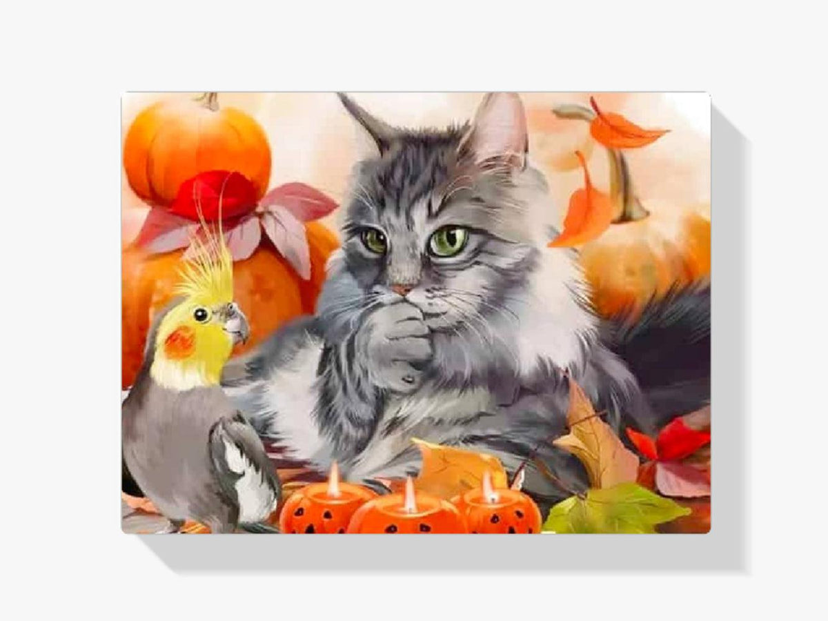 Diamantmalerei Katze - SEOS Shop ®