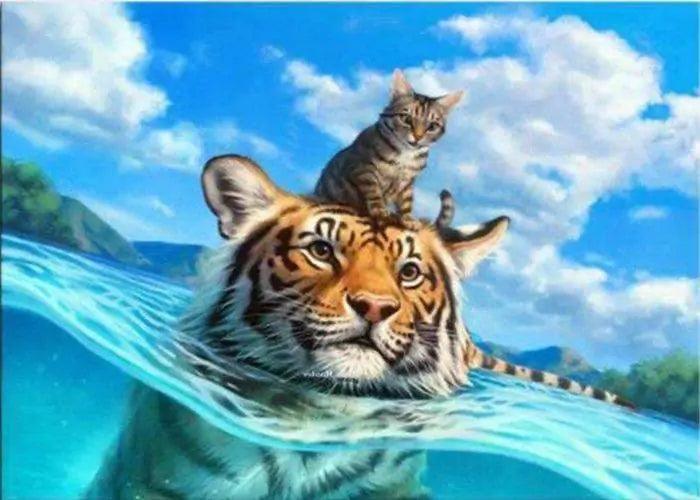 Diamantmalerei – Katze und Tiger im Meer – SEOS®