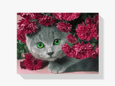 Diamantmalerei Katze mit Blumen - SEOS Shop ®