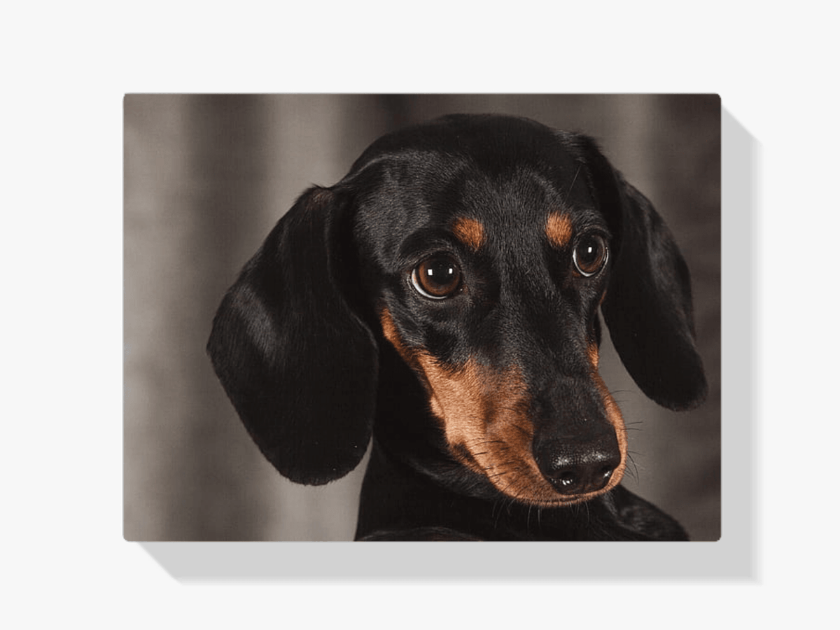 Diamond Painting Kleiner Dackel - SEOS Shop ®