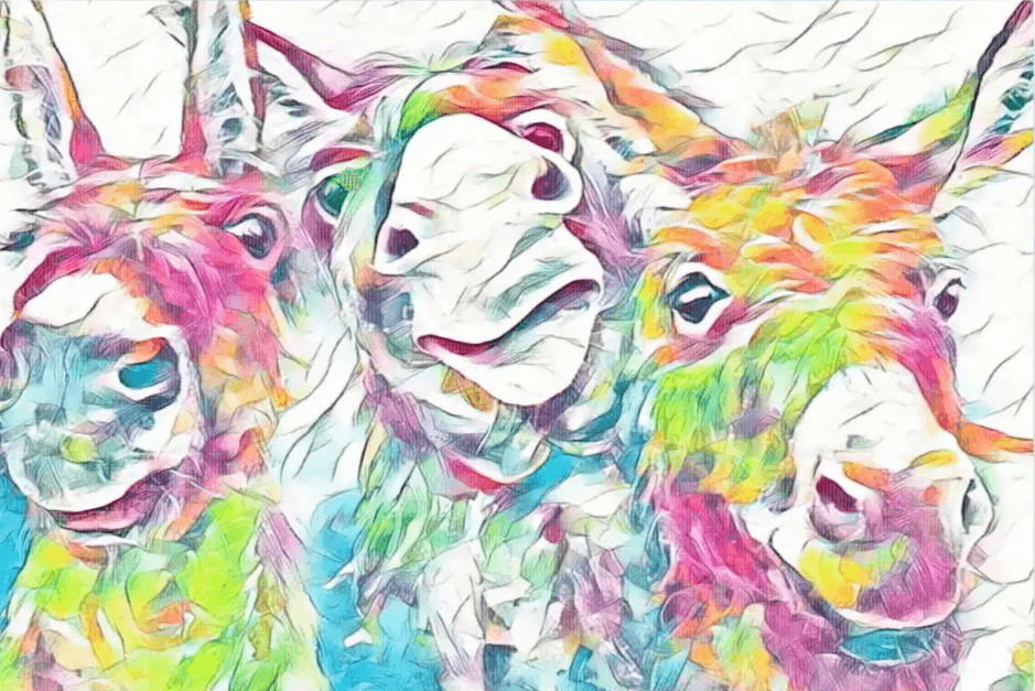 Diamond Painting Bunte Esel - SEOS Shop ®