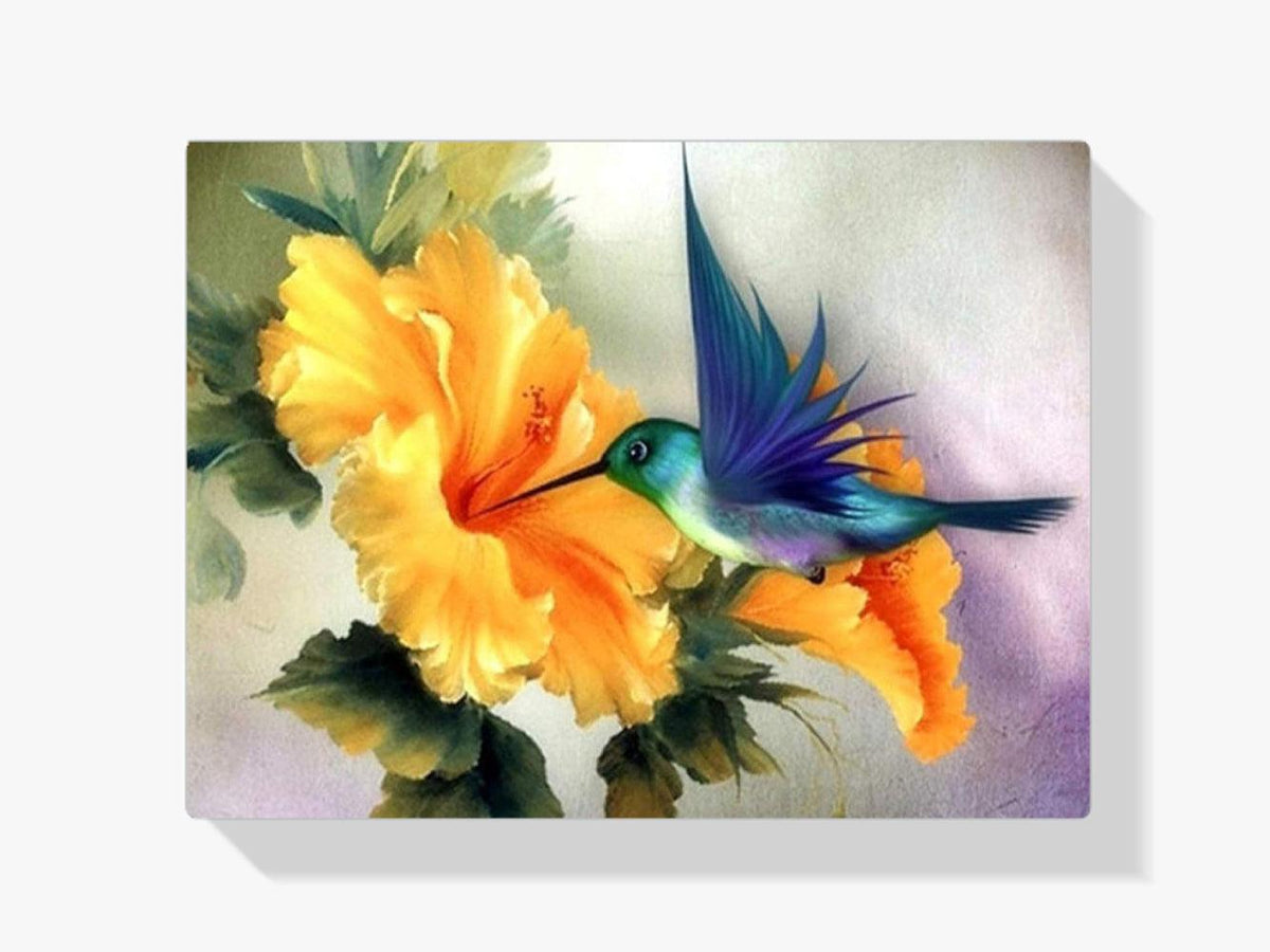 Diamantmalerei Kolibri - SEOS Shop ®