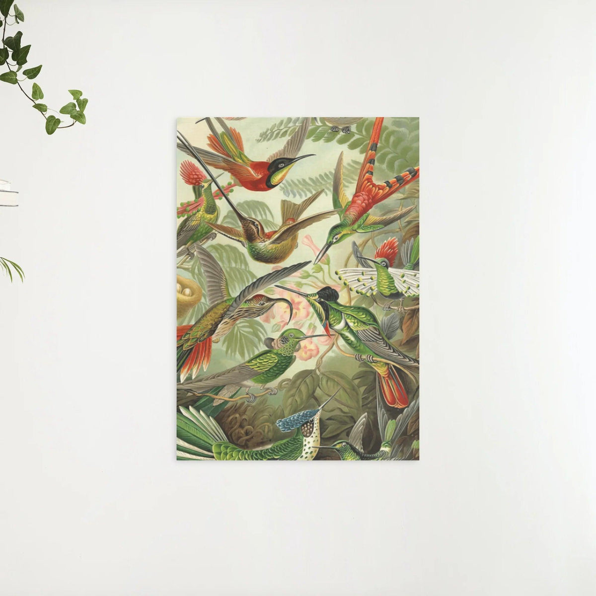 Diamantmalerei Kolibris - SEOS Shop ®