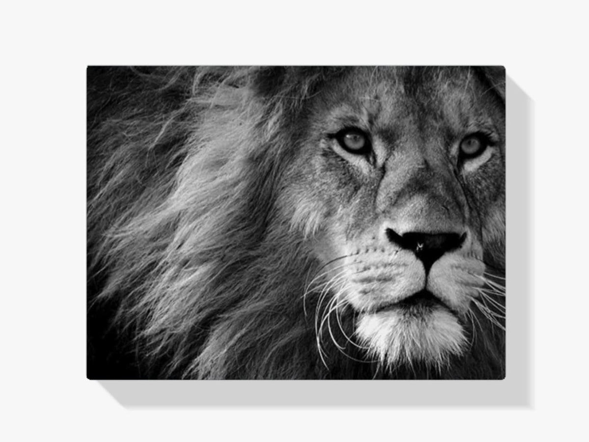 Diamond Painting Löwe in Schwarz und Weiß – SEOS Shop ®