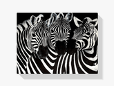 Diamantmalerei Süße Zebras – SEOS Shop ®