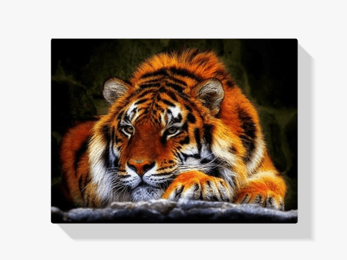 Diamond Painting Liegender Tiger - SEOS Shop ®