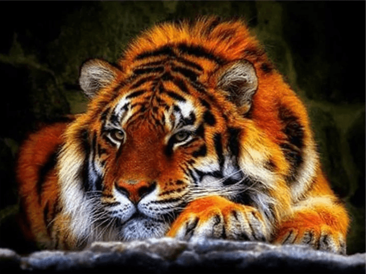 Diamond Painting Liegender Tiger - SEOS Shop ®