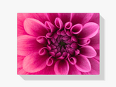 Diamond Painting Makroaufnahme Blume - SEOS Shop ®