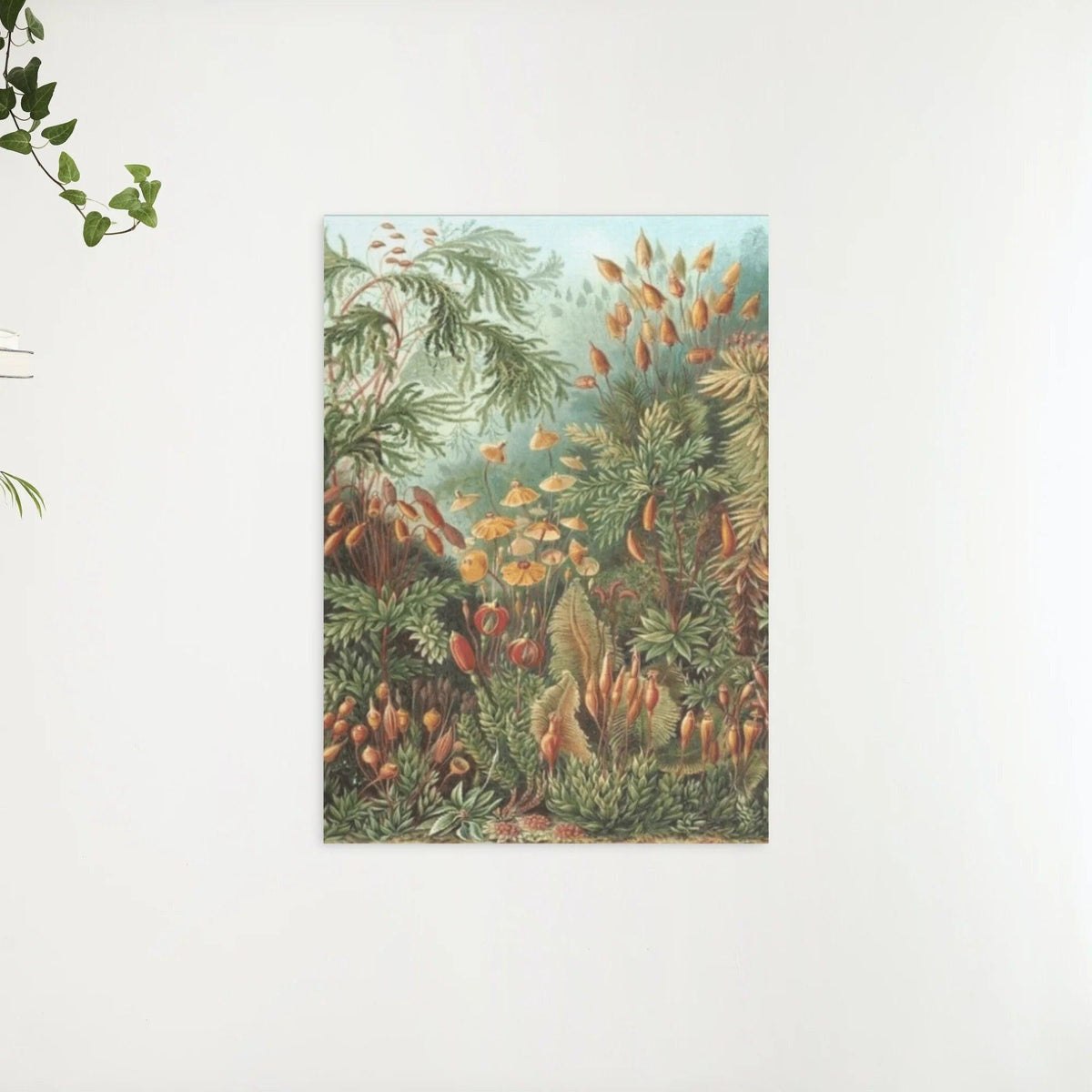 Diamantmalerei Muscinae - SEOS Shop ®