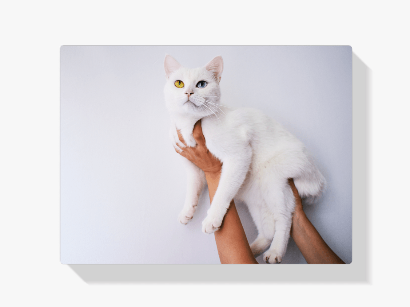 Diamond Painting Set Weiße Katze 45x30cm - SEOS Shop ®