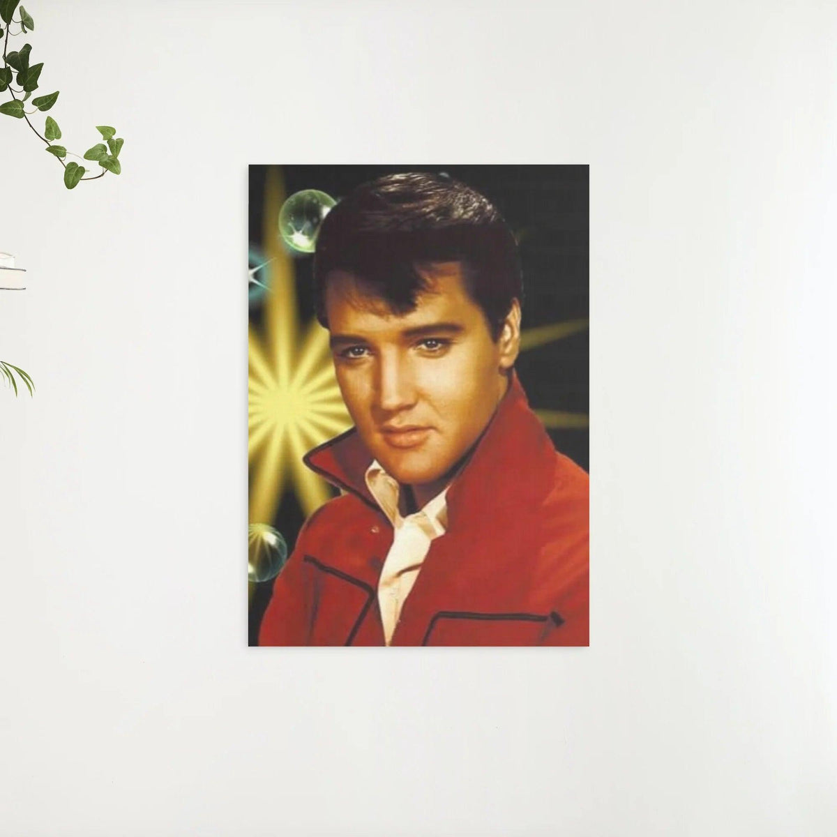 Diamond Painting Portrait Elvis Presley - SEOS Shop ®
