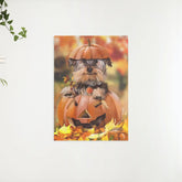 Diamond Painting Welpe im Kürbis - SEOS Shop ®