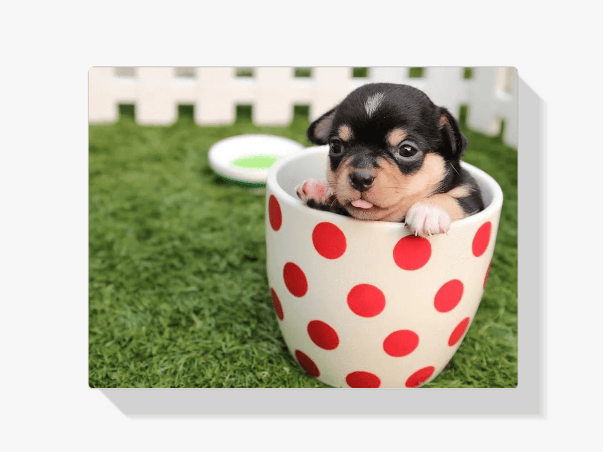 Diamond Painting Welpe in einer Tasse 45x30 cm - SEOS Shop®