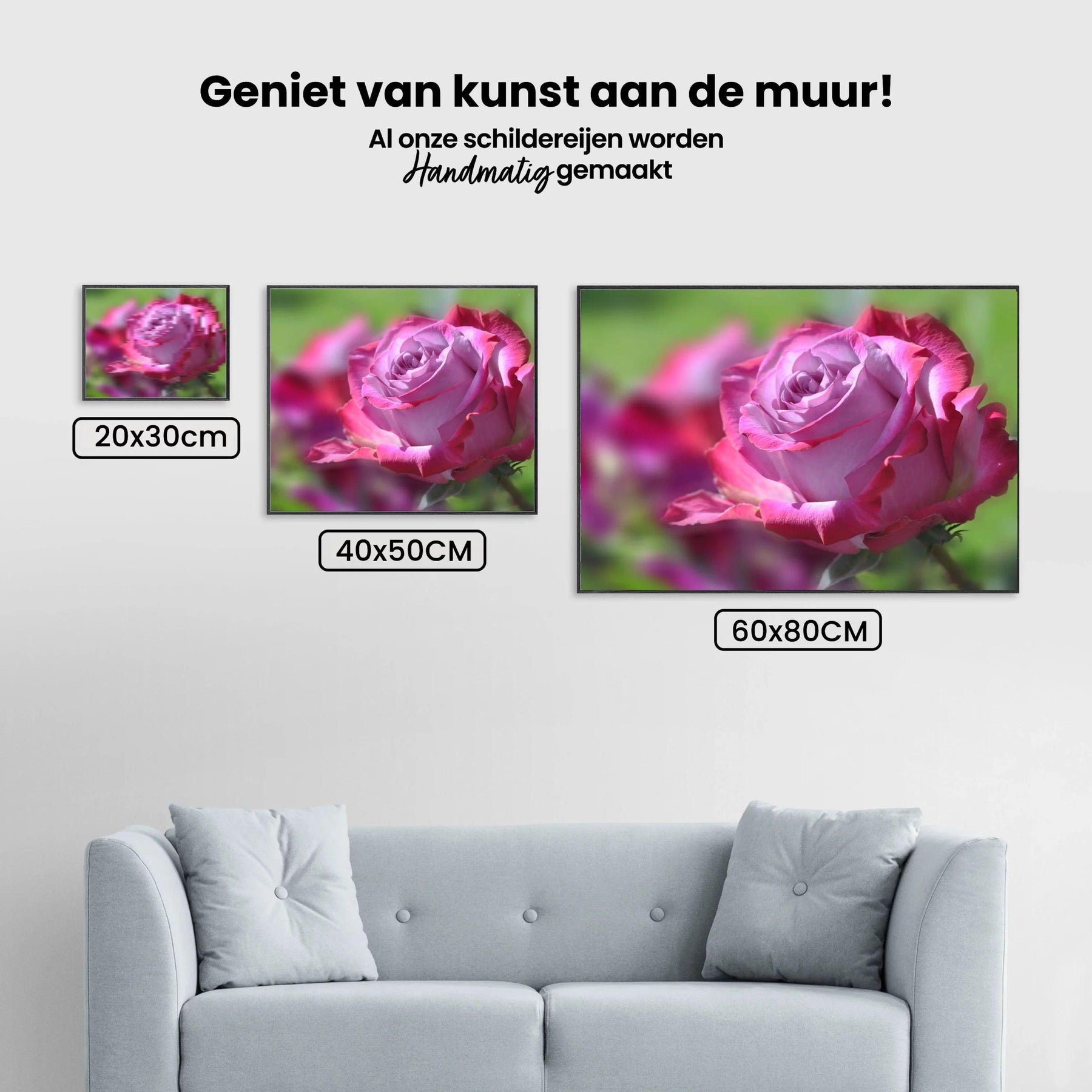 Diamantmalerei Rosa Rose - SEOS Shop ®