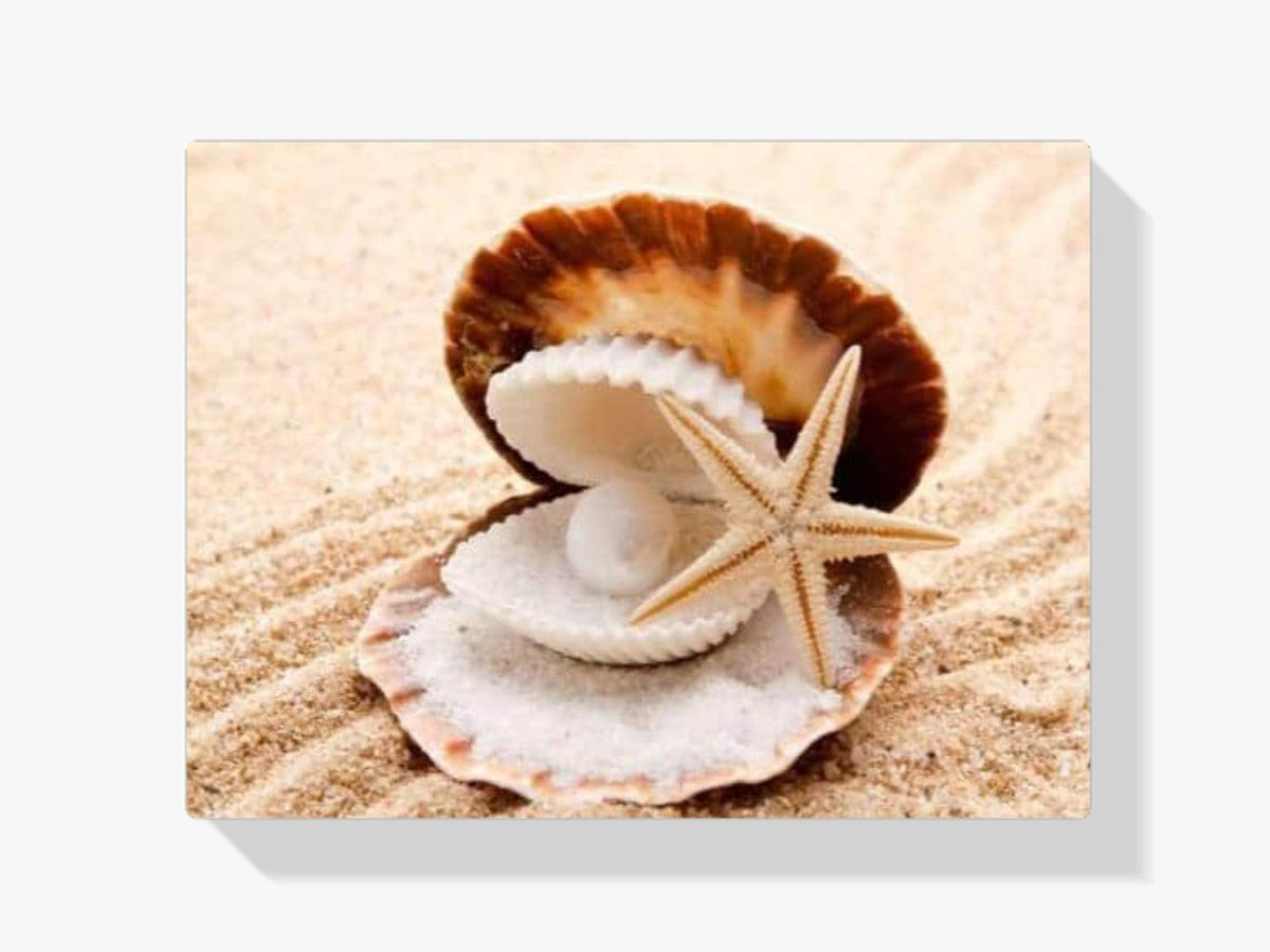 Diamantmalerei Muscheln und Perlen – SEOS Shop ®