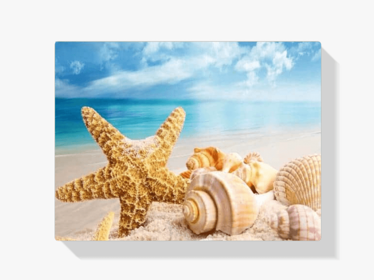Diamond Painting Muscheln am Strand – 40x50 cm – SEOS Shop ®