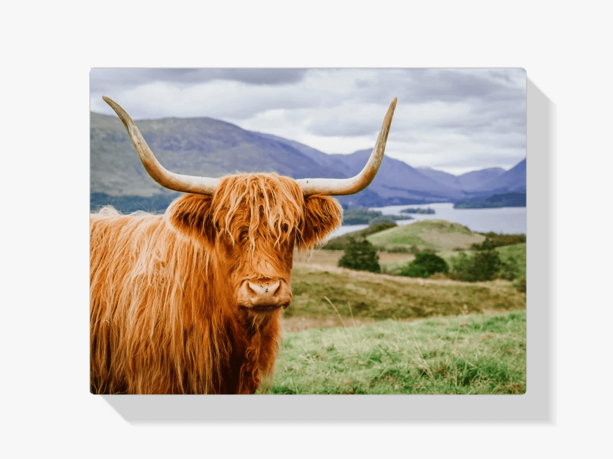 Diamond Painting Scottish Highlander - Schottischer Hochländer in einer wunderschönen Landschaft - SEOS Shop ®