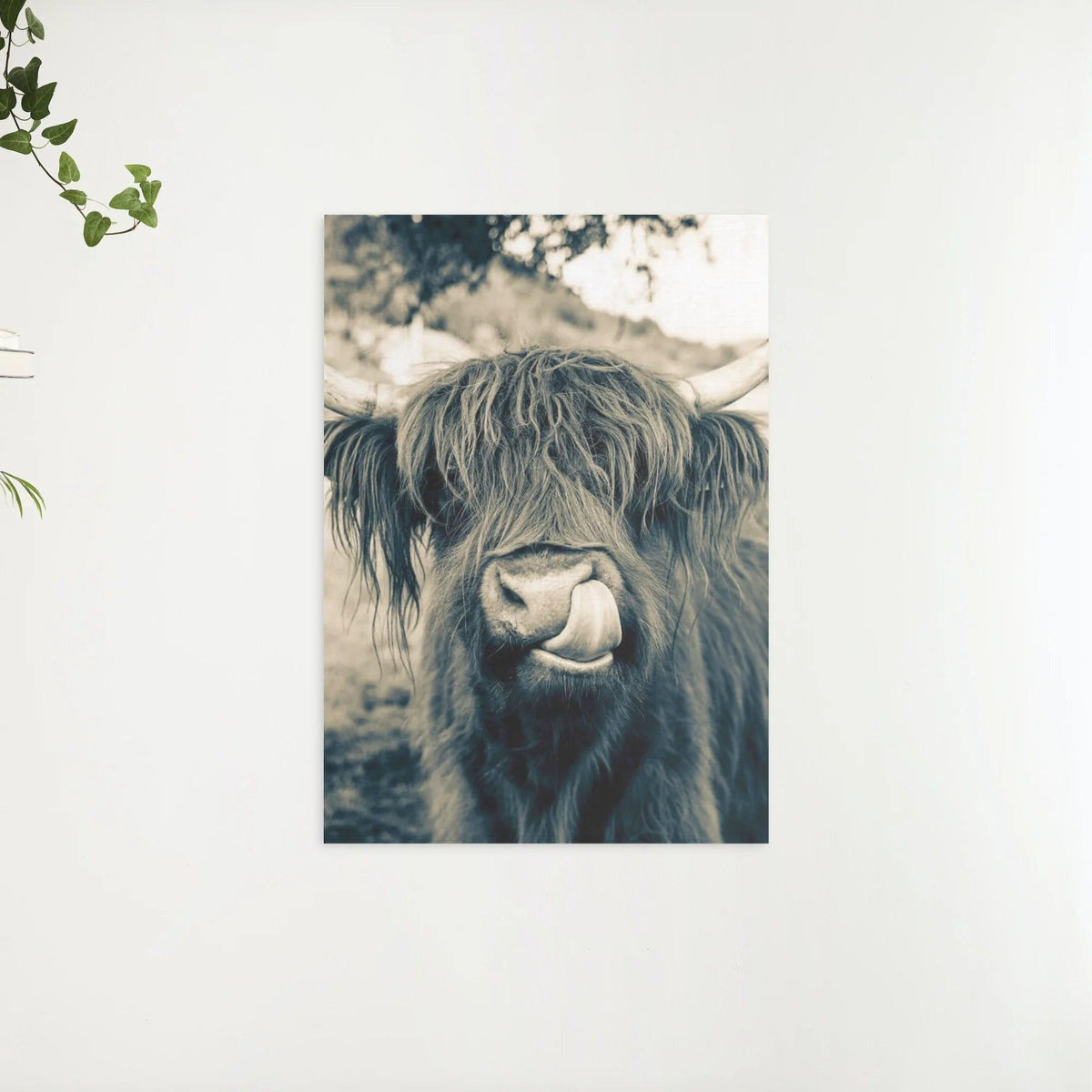 Diamond Painting Scottish Highlander - Scottish Highlander im Sepia-Stil - SEOS Shop ®