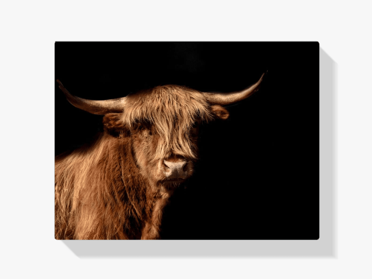 Diamond Painting Scottish Highlander - Scottish Highlander wird im Bild auch Highland Cow genannt - SEOS Shop ®