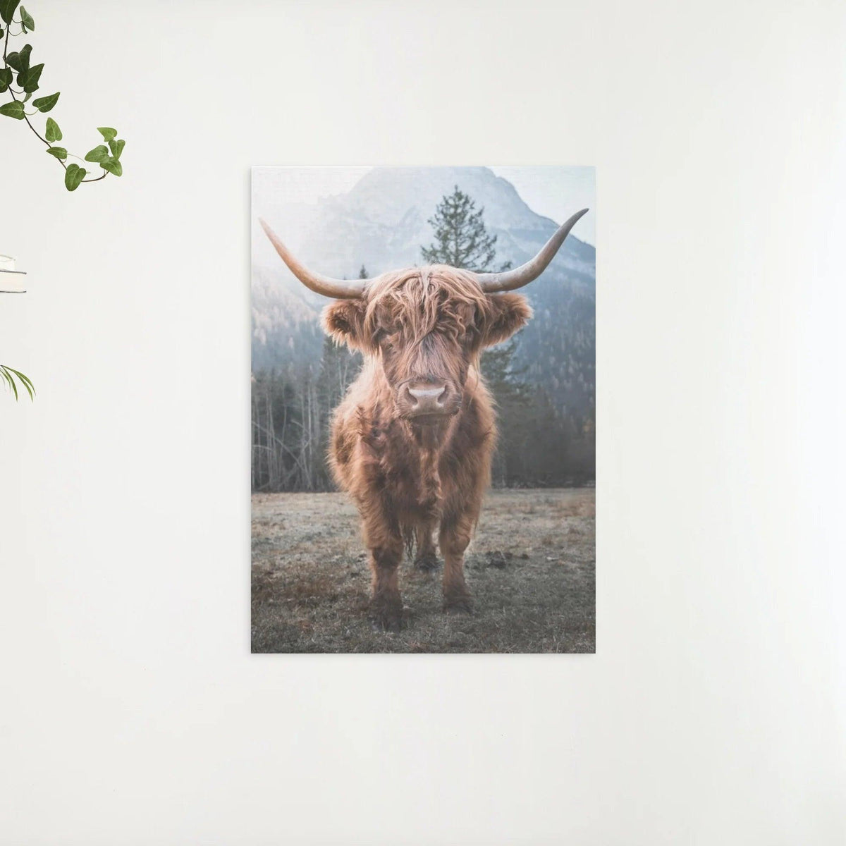 Diamond Painting Scottish Highlander - Scottish Highlander auf einer gefrorenen Wiese in den italienischen Bergen - SEOS Shop ®