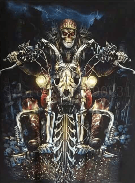 Diamantmalerei Ghost Rider - SEOS Shop ®