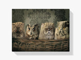 Diamond Painting Eule und Katzen im Korb - SEOS Shop ®