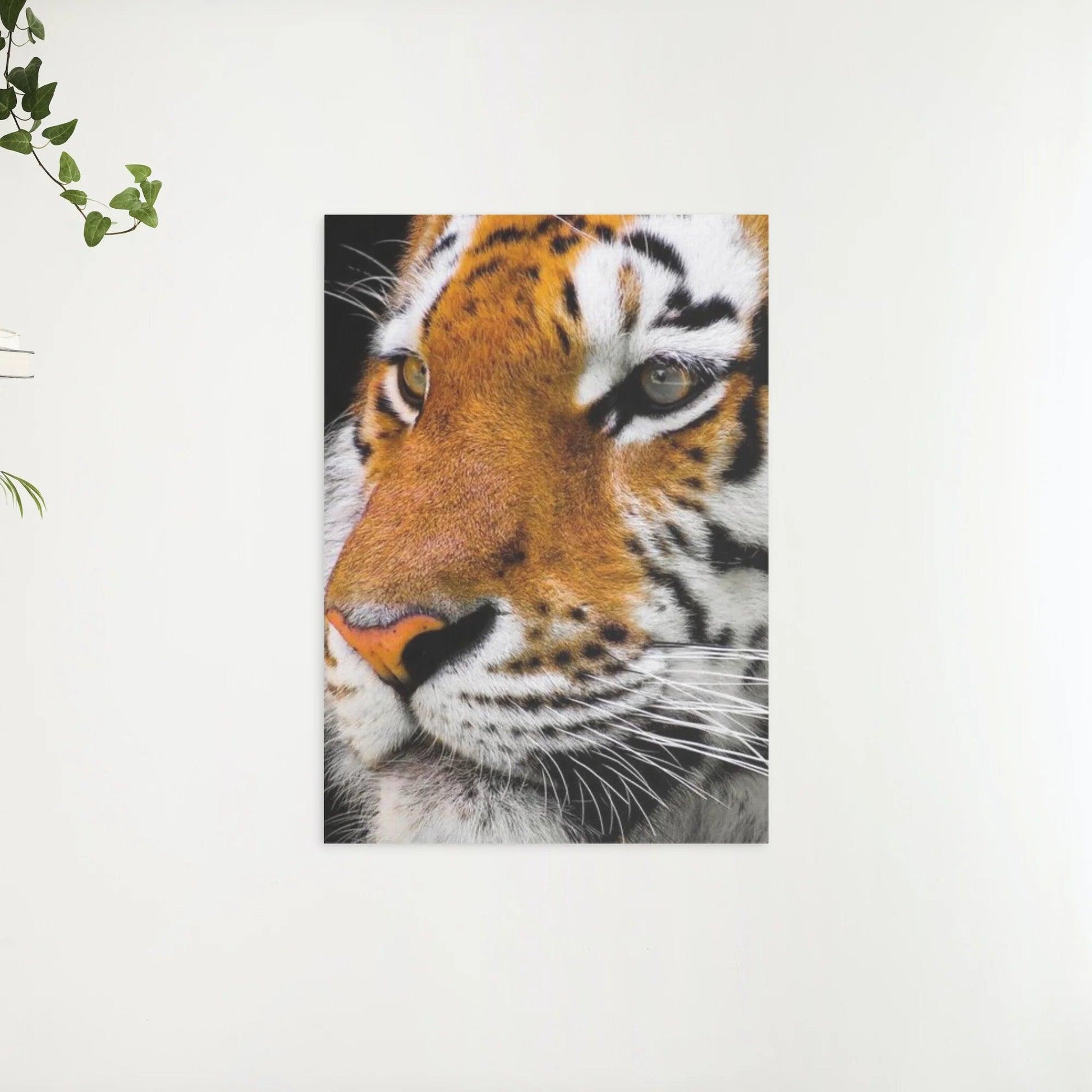 Diamantmalerei Tiger für Erwachsene - SEOS Shop ®