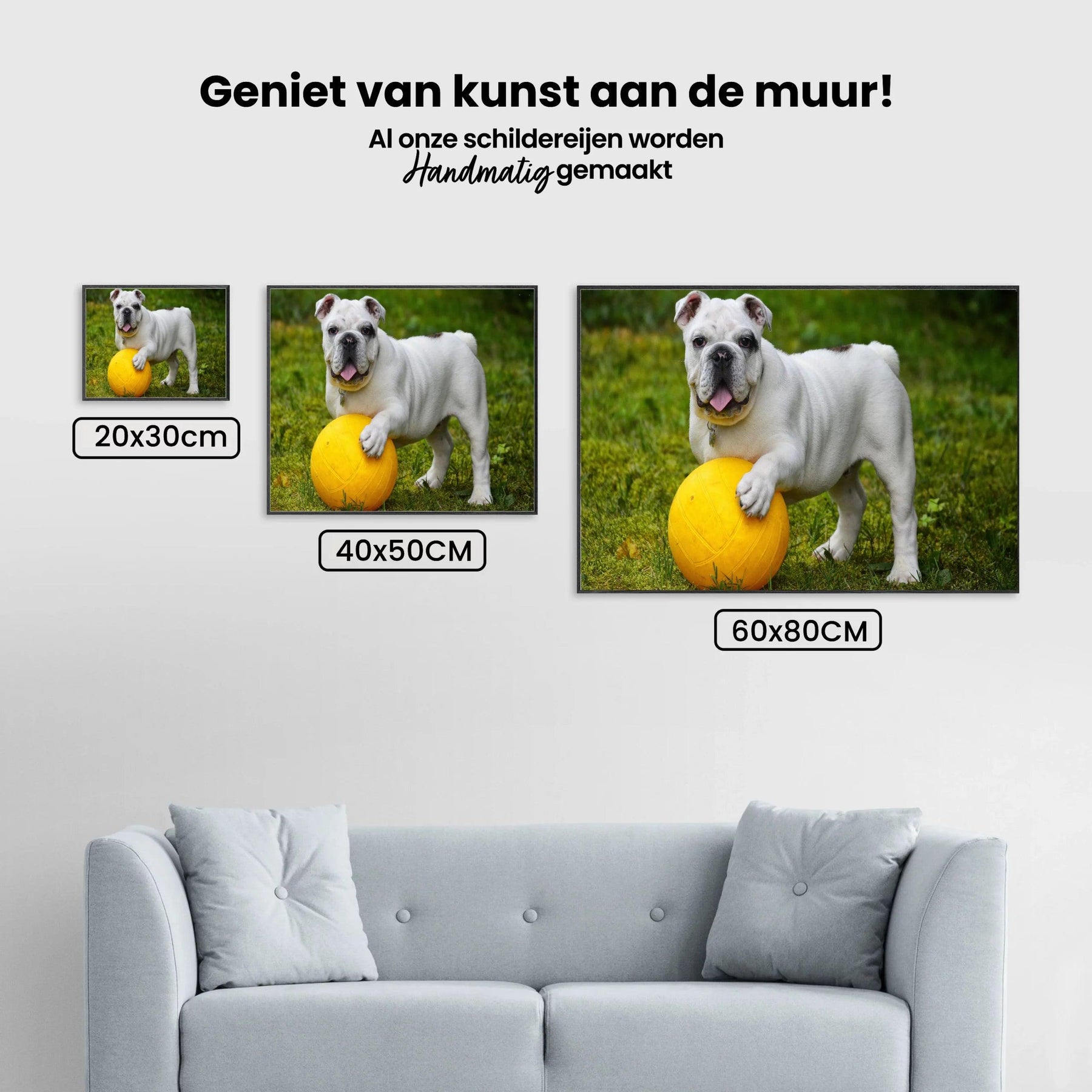 Diamond Painting Weiße Bulldogge mit Ball - SEOS Shop ®