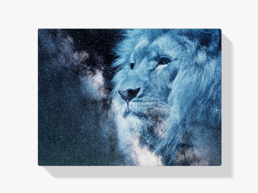 Diamantmalerei Weißer Löwe - SEOS Shop ®
