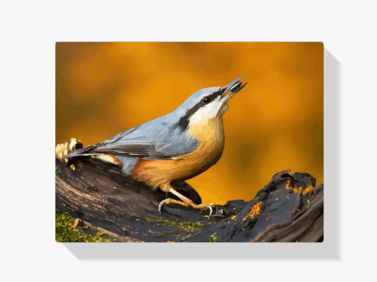 Diamond Painting - Kleiber auf dem Ast - SEOS®