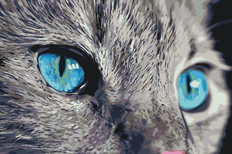 Diamond Painting – Ein durchdringender Blick – SEOS®