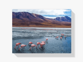Diamond Painting - Flamingos in Bolivien - SEOS Shop ®