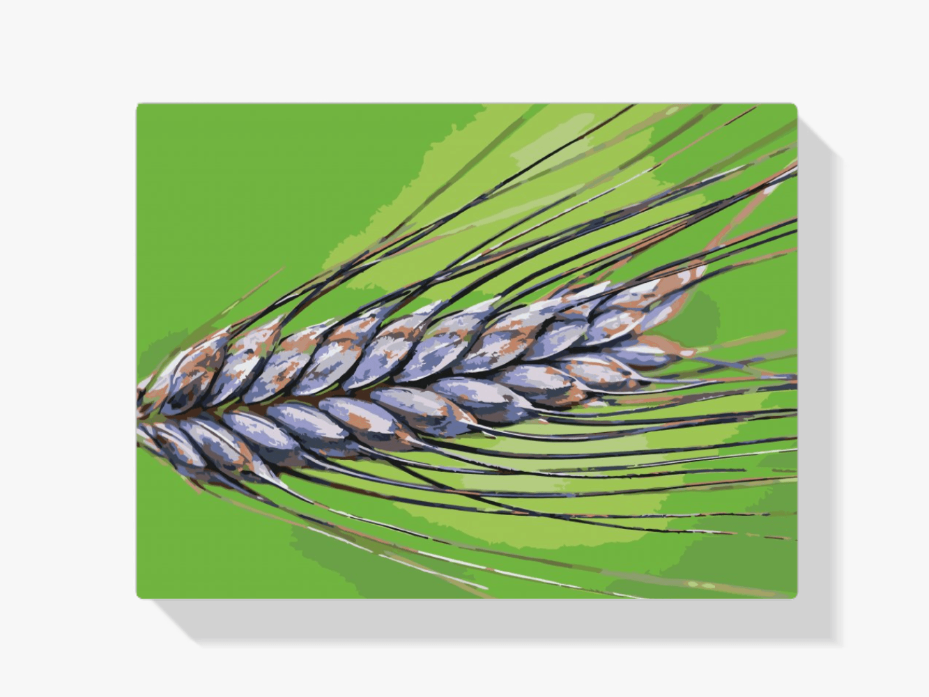 Diamond Painting - Maserung - SEOS Shop ®