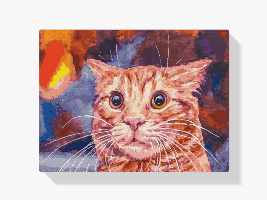 Diamantmalerei - Lustige Katze - SEOS®