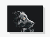 Diamond Painting – Das Aussehen des Hundes – SEOS®