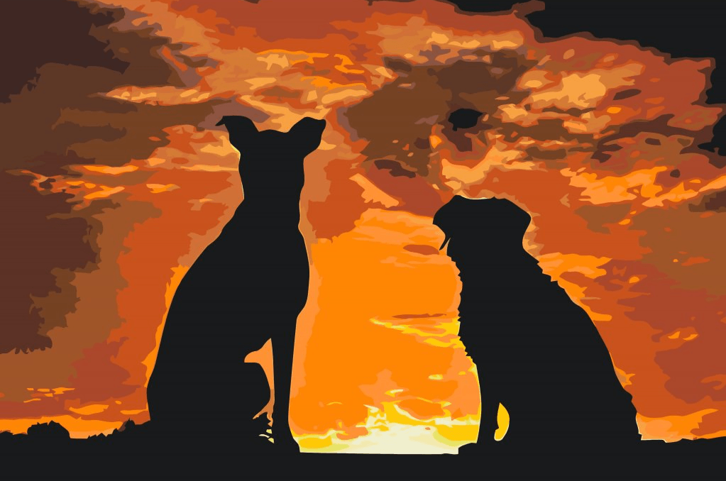 Diamantmalerei - Hundefreunde - SEOS®