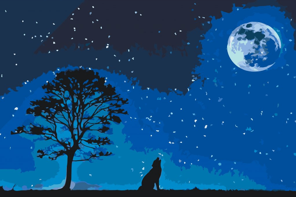 Diamantmalerei – Heulender Hund bei Vollmond – SEOS®