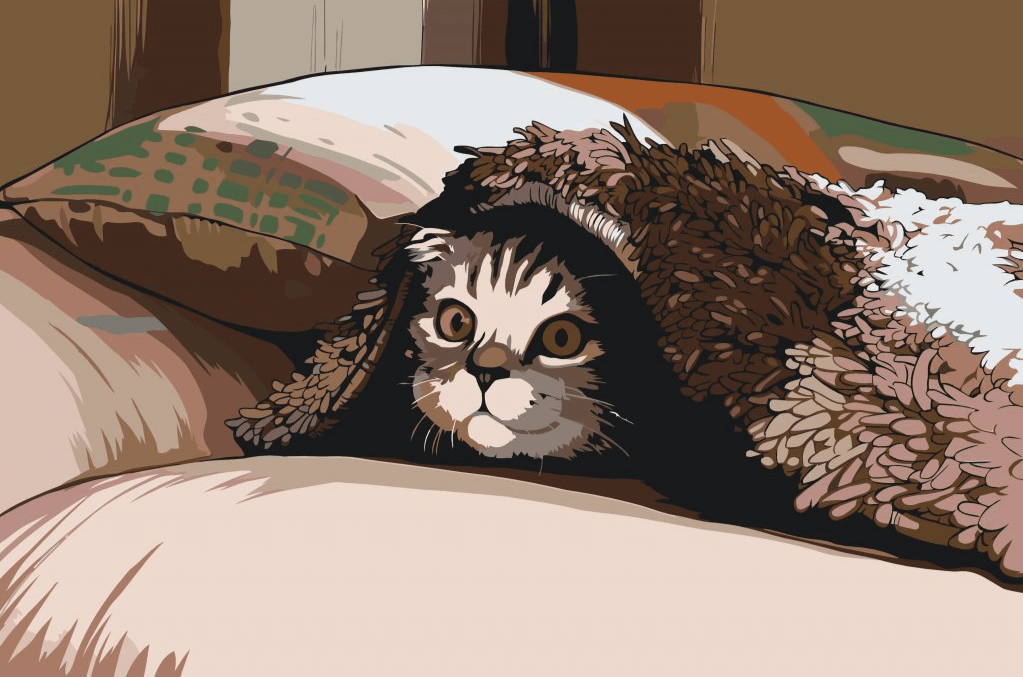 Diamond Painting - Katze unter dem Kissen - SEOS®