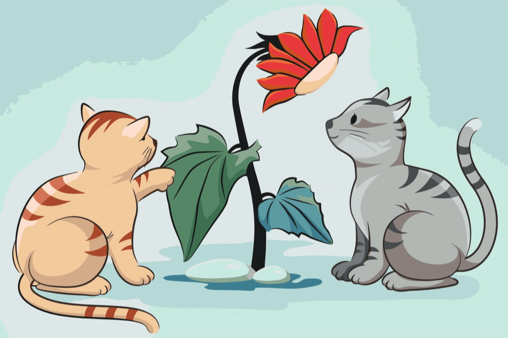 Diamantmalerei – Katzen und Blumen – SEOS®