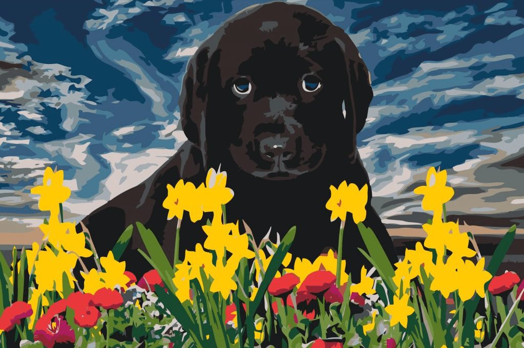 Diamantmalerei - Labradorwelpe - SEOS®