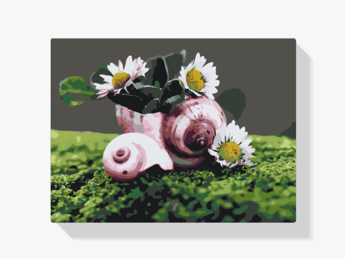 Diamantmalerei - Gänseblümchen in der Muschel - SEOS Shop ®