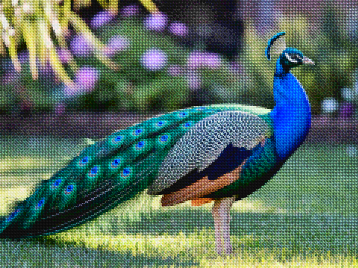 Diamantmalerei – Pfau mit fächerartigen Federn in Juwelentönen