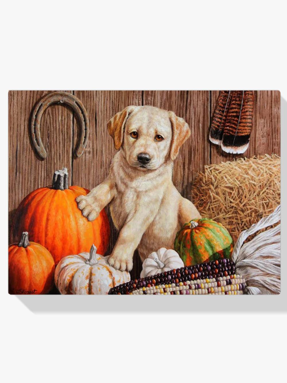 Diamantmalerei - Kürbisernte-Welpe